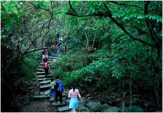 登山.jpg